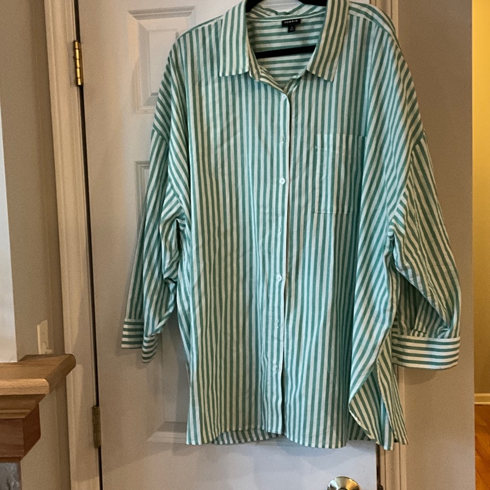 torrid Mint Green and White Striped Button-Down Shirt